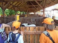 dsc00527.jpg