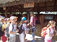 dsc00528.jpg