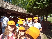 dsc00530.jpg