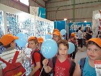 dsc00537.jpg