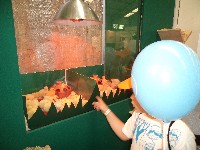 dsc00539.jpg