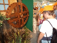 dsc00540.jpg