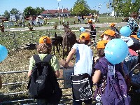dsc00547.jpg