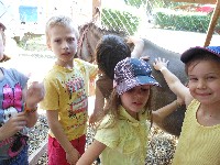 dscn1357.jpg