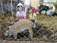 dscn1358.jpg