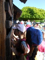 dscn1365.jpg