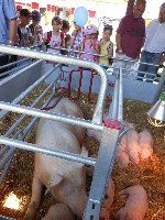 dscn1375.jpg