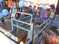 dscn1376.jpg