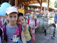 dscn1377.jpg
