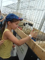 dscn1406.jpg