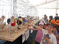 dscn1408.jpg