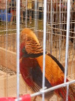 dscn1410.jpg
