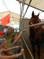 dscn1412.jpg