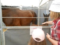 dscn1417.jpg