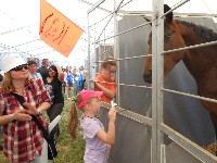 dscn1420.jpg