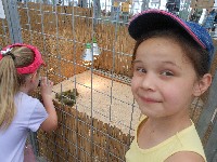 dscn1431.jpg