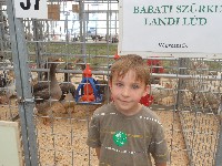 dscn1435.jpg
