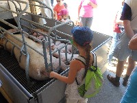 dscn1440.jpg