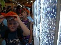 p1150736.jpg