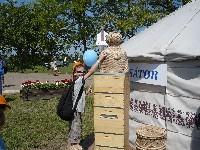 p1150743.jpg