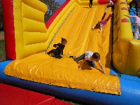dscn1177.jpg