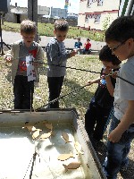 dscn1192.jpg