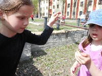 dscn1211.jpg