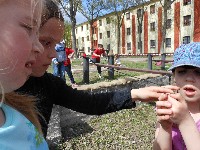 dscn1212.jpg