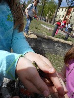 dscn1213.jpg