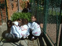 dscf0001.jpg