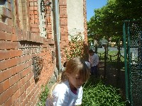 dscf0002.jpg