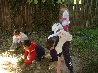 dscf0005.jpg