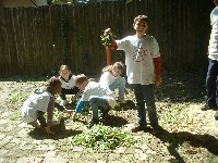 dscf0006.jpg