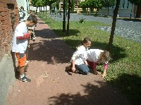 dscf0021.jpg