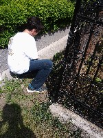f_nyk_p2902.jpg