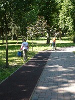 p1220397.jpg