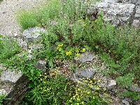 p1100052.jpg