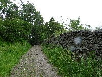 p1100058.jpg