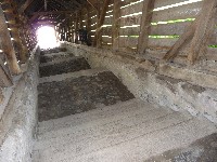 p1100158.jpg