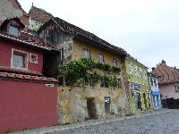 p1100175.jpg