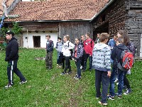 p1100295.jpg