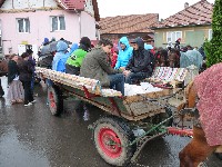 p1100362.jpg