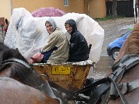 p1100371.jpg