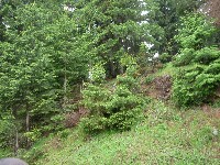 p1100373.jpg