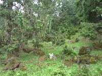 p1100374.jpg