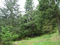 p1100375.jpg