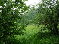 p1100379.jpg
