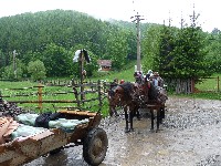 p1100381.jpg