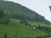 p1100460.jpg