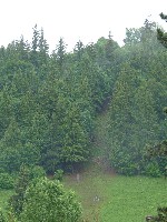 p1100461.jpg
